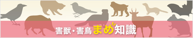 害獣・害鳥豆知識
